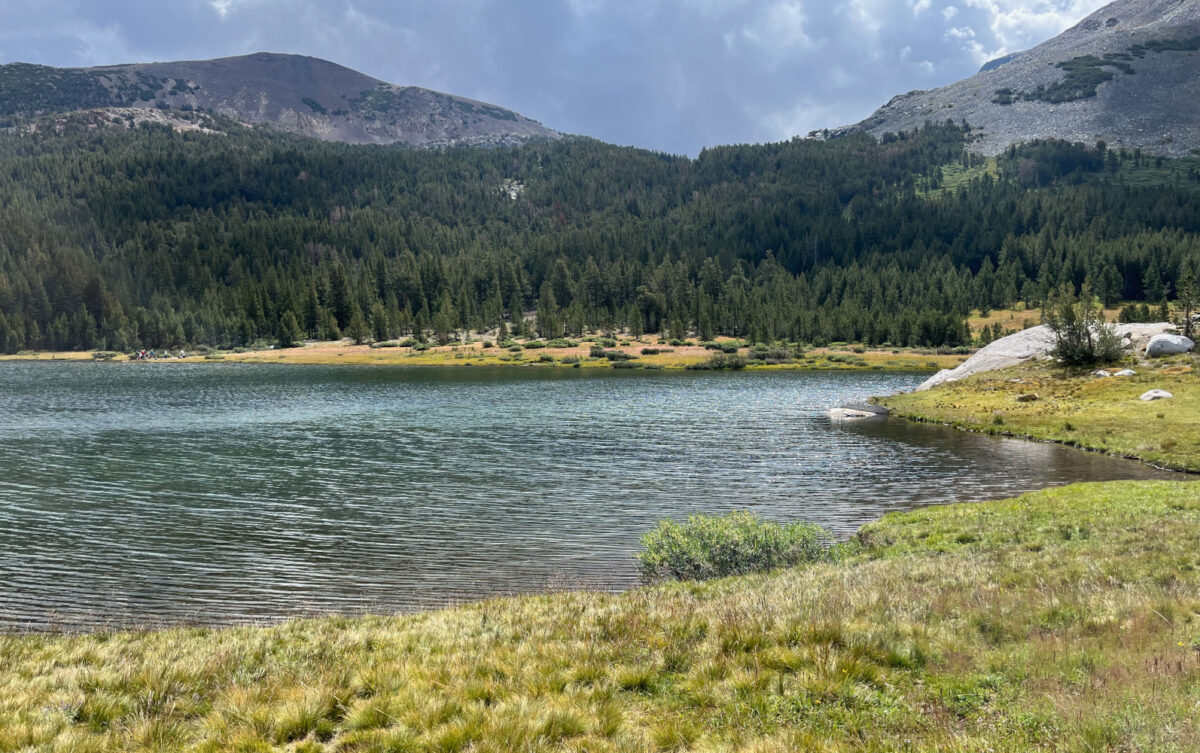 Parque nacional de Yosemite